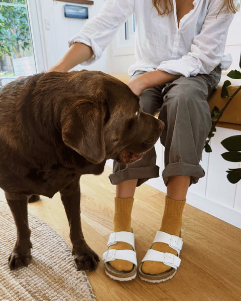 TAK :: Socks Thick Cotton Rib Womens Range