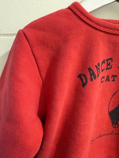 La Chou Chou :: Dance Academy Cat Only Sloppy Joe