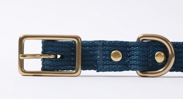 PawPrint :: Tide Collar