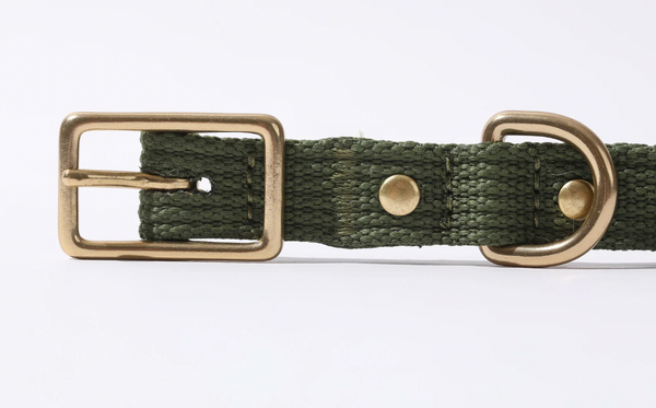 PawPrint :: Tide Collar