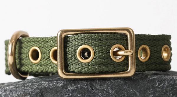 PawPrint :: Tide Collar