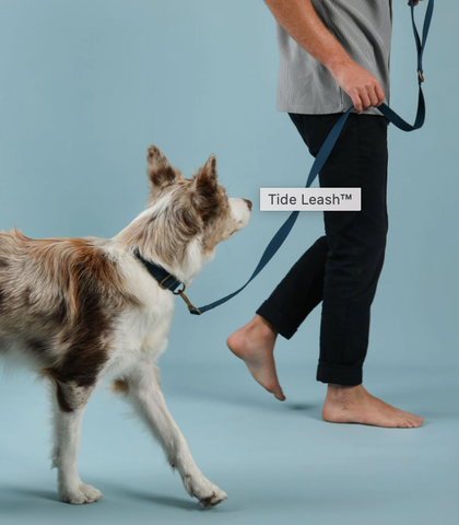 PawPrint :: Tide Leash