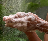 Dr Bronner's :: Sandalwood Liquid Soap - 237 ml