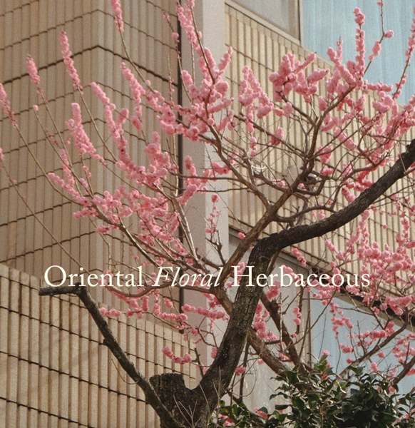 Posie :: UME Candle - White Tea / Chrysatheum / Plum