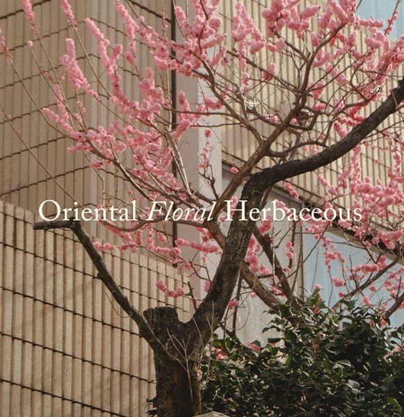 Posie :: UME Candle - White Tea / Chrysatheum / Plum