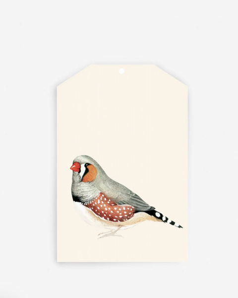 Father Rabbit :: Gift Tag Collection