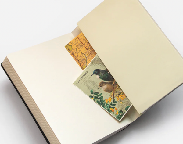 Zetta :: Elastic Sketchbook Range