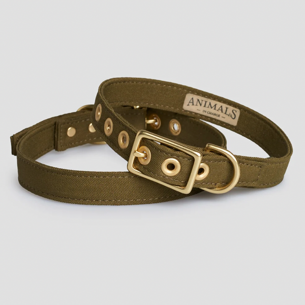 Animals in Charge - Collar Range
