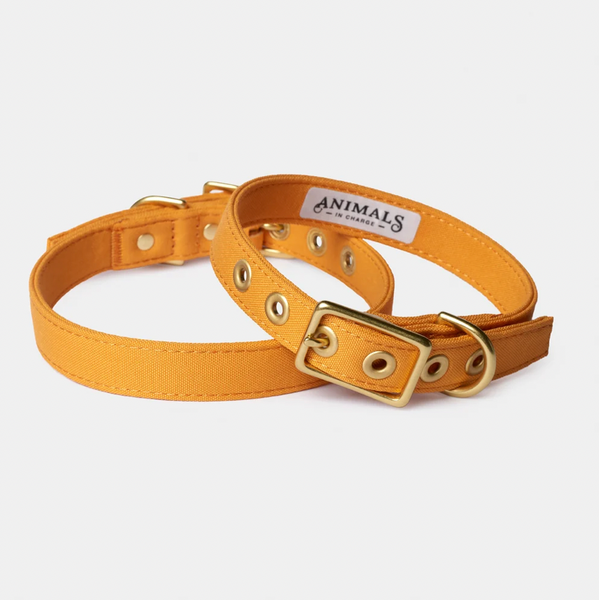 Animals in Charge - Collar Range