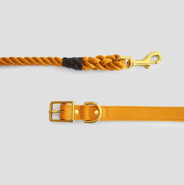 Animals in Charge - Collar Range