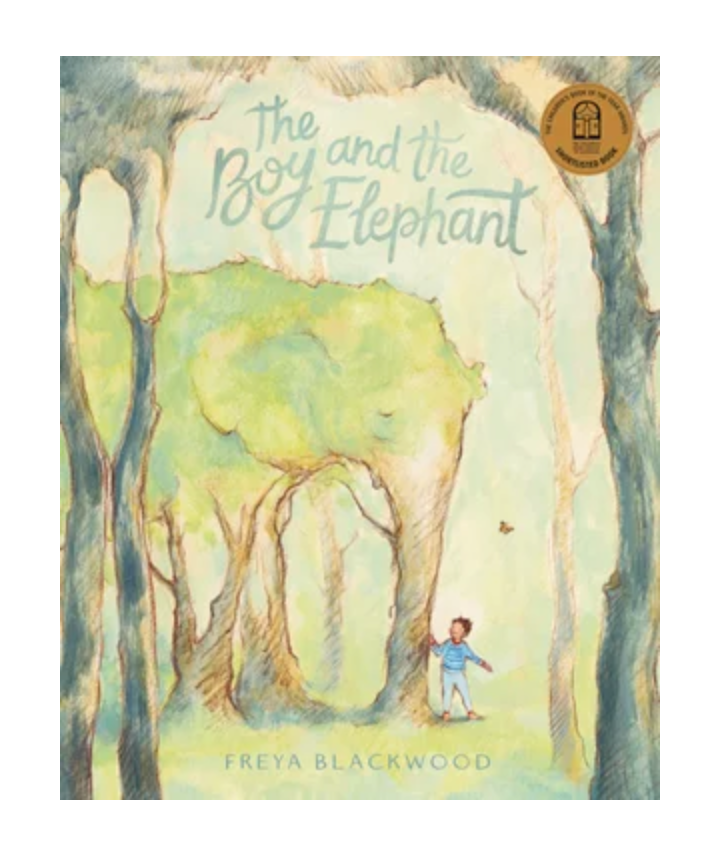 The Boy and the Elephant :: Freya Blackwood